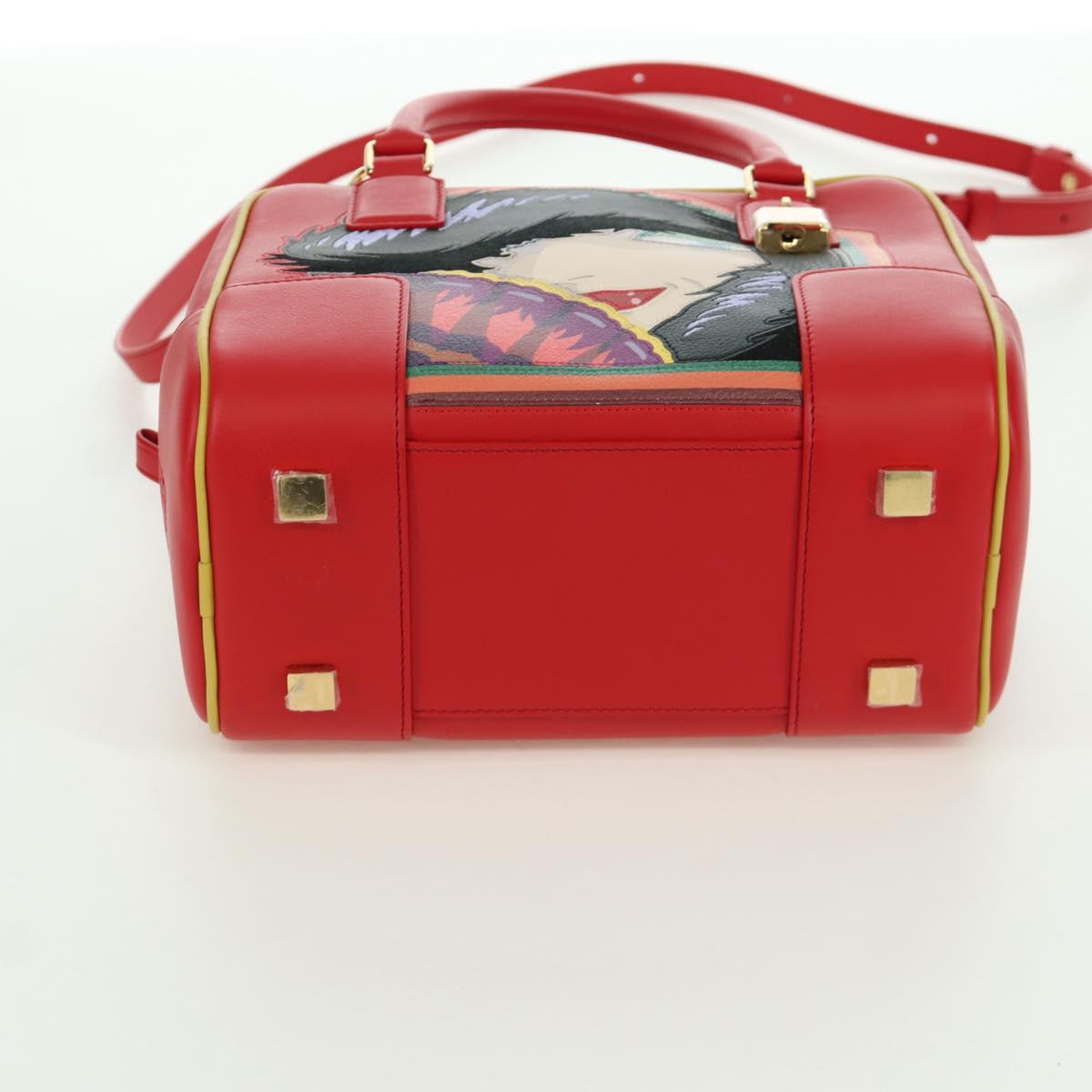 LOEWE × Ghibli 魔女の荒地の魔女 ハウルの動く城 アマソナ19 認証