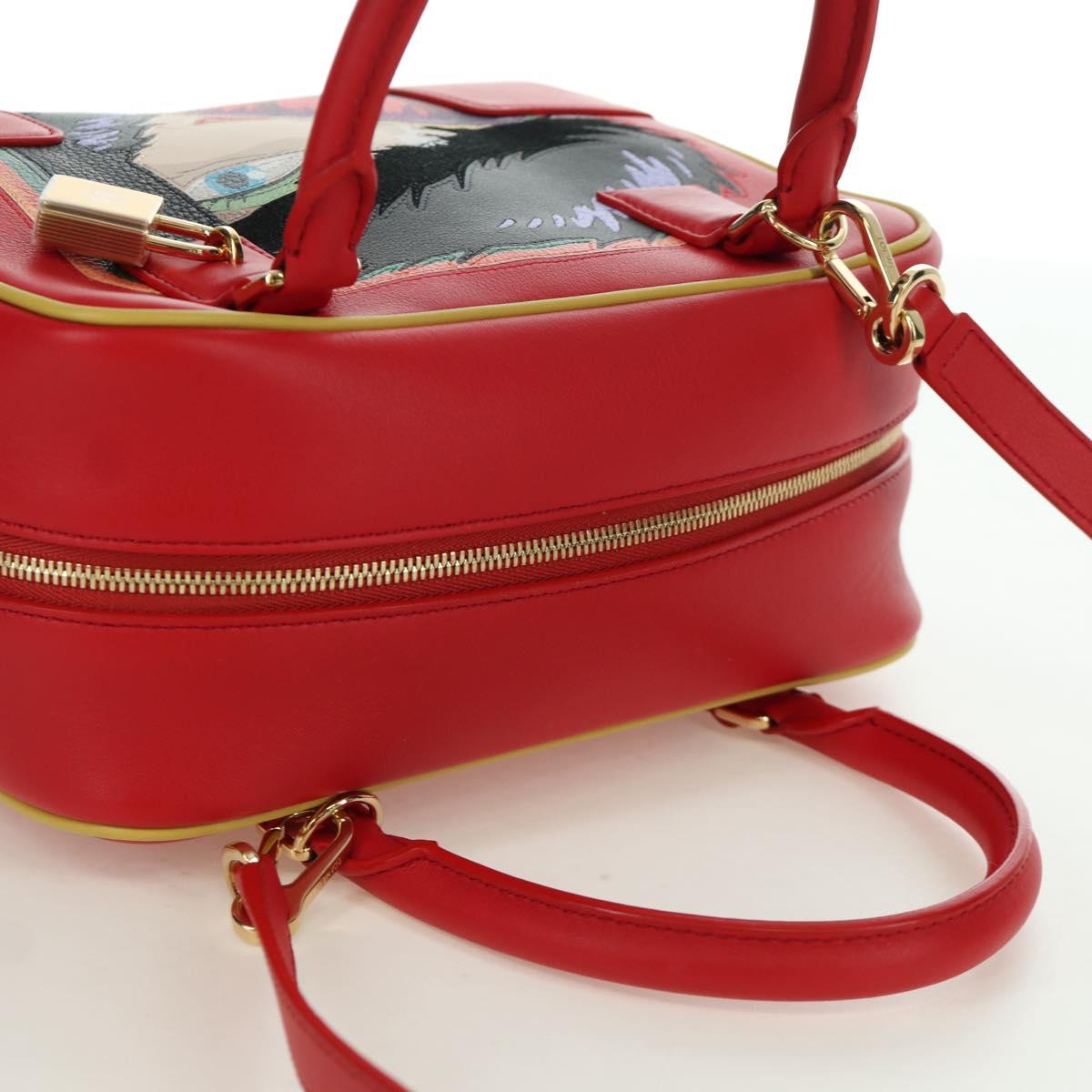 LOEWE ロエベ ハウルの動く城 荒地の魔女 アマソナ19 LOEWE - LOEWE ロエベ ハウルの動く城 荒地の魔女 アマソナ19の通販 by