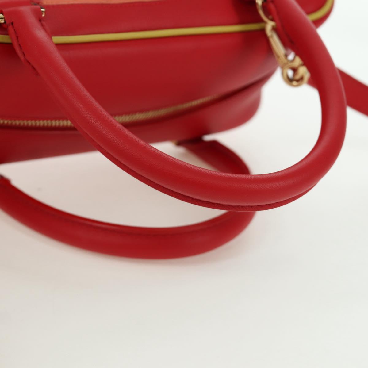LOEWE ロエベ ハウルの動く城 荒地の魔女 アマソナ19 LOEWE - LOEWE ロエベ ハウルの動く城 荒地の魔女 アマソナ19の通販 by
